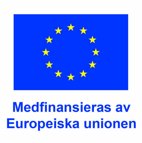 Medfinansieras av Europeiska unionen logo