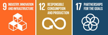 Three United Nations Sustainable development goals for the DIIF project