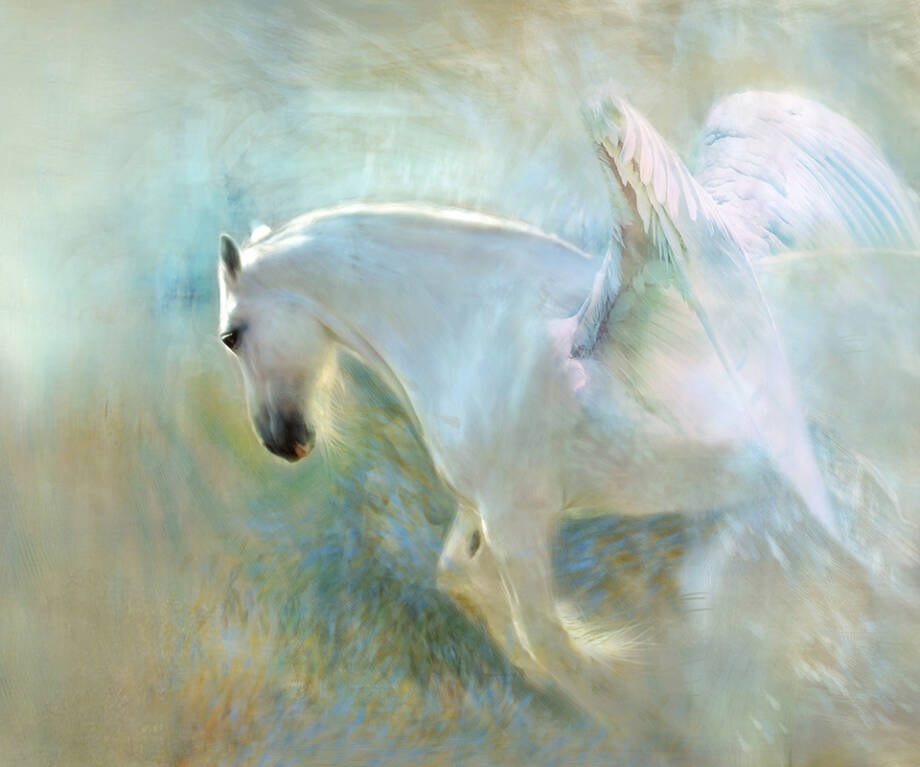 Valkoinen hevonen, jolla siivet