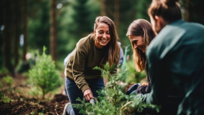 Volunteering. Young people volunteers outdoors reforestation. Man and woman planting trees in the forest or working in community garden.
