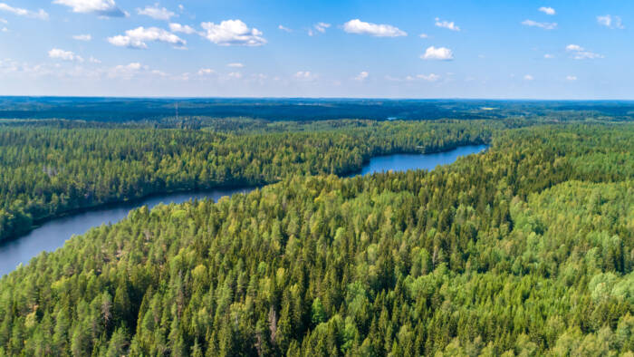 metsä-järvimaisema